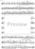 Im Schweizer Volkston - Flute