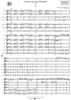 Concerto for two Mandolins and Orchestra in A Major - Full Score