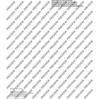 Moderne Blockflötentechnik
