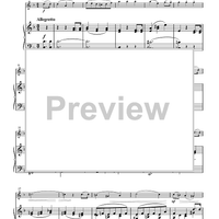 Suzuki Violin School, Volume 7 - Piano Accompaniment