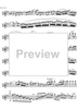Cadenza Concerto E Major  1st and  2nd movement - Flute