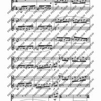 Nine flute duets - Performing Score