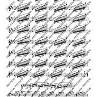100 Technical Paraphrases on Kreutzer-Etudes