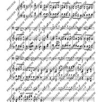 Concert sonatina - Piano Score and Solo Part