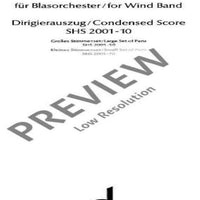 Chips in a Bag - Conductor Reduction