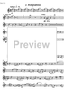 Quodlibetrio - Flute