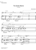 The Gentle Warrior - C Instrument