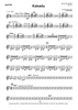 Kakadu - Guitar