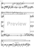 Danza nell'orto della petenera Op.41