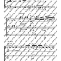 Cadenzas - Performing Score