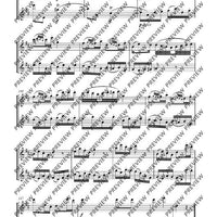 Duo D major - Performing Score