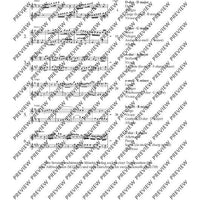 Six Sonatas - Performing Score