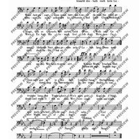 Wein, Weib und Gesang - Bass Ii