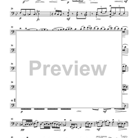 Cello Accompaniments - Volume 3