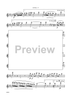 Dancin' Into The '20s: IV. Hunkatin - A Half Tone One-Step - Flute 1