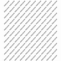 Le Portrait de Daisy Hamilton