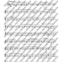 Notturno e Divertimento - Score and Parts