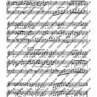 Kazdá z jiné kapsy