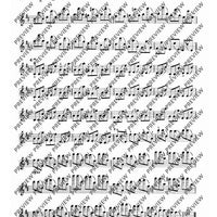 100 Technical Paraphrases on Kreutzer-Etudes