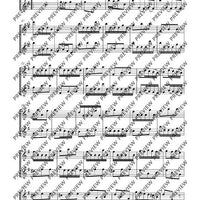 Sonata e minor - Performing Score