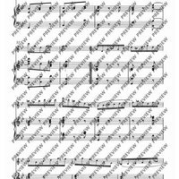 Sonatas and Partitas