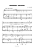Wanderers nachtlied