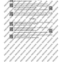 The Flute Expedition