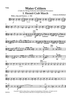 Water Critters - A Suite for String Orchestra and Optional Percussion - Viola