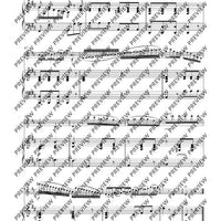 Variationen über „Nel cor più non mi sento“