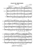 Chant du Printemps - Score