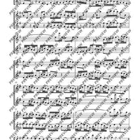 Flute Duets - Performing Score