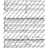 Cadenzas - Performing Score