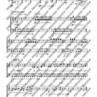 Cadenzas - Performing Score