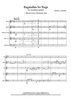 Bagatelles for Bugs - Score