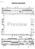 Corodidáscalos - Score