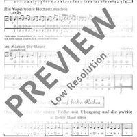 Neue Schule für die zweireihige Handharmonika