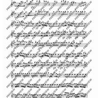 Concerto E Minor - Set of Parts