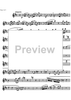 Sonatina Op. 60 - Flute