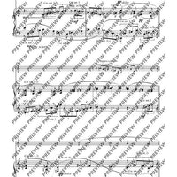 Hamburg Concerto - Piano Score and Solo Part