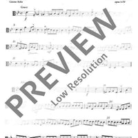 Sonata c minor - Viola Ii