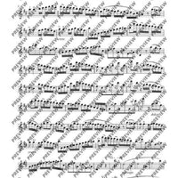 Variationen über „Nel cor più non mi sento“