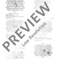 The Hohner Harmonetta Tutor