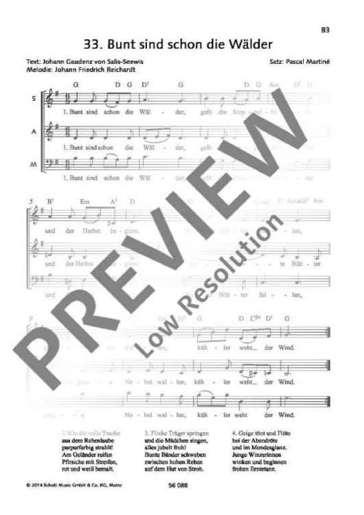 Bunt sind schon die Wälder