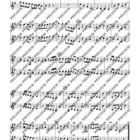 Concerto grosso in G major - Set of Parts