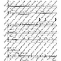 Adiantum Capillus-Veneris III (Maidenhair fern III)