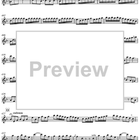 Concerto for Mandolin and Orchestra in F major - Mandolin