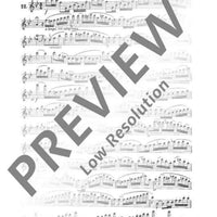 25 Romantische Etüden