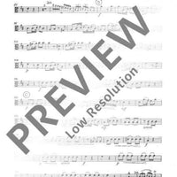 Concerto D Major - Viola