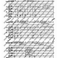 Concerto E Major - Score