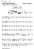 Piccolo divertimento - Bb Trumpet 2